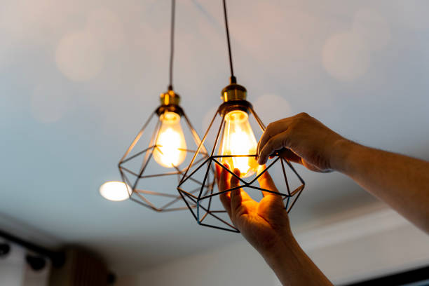 Best Residential Electrician Services  in Cicero, IN